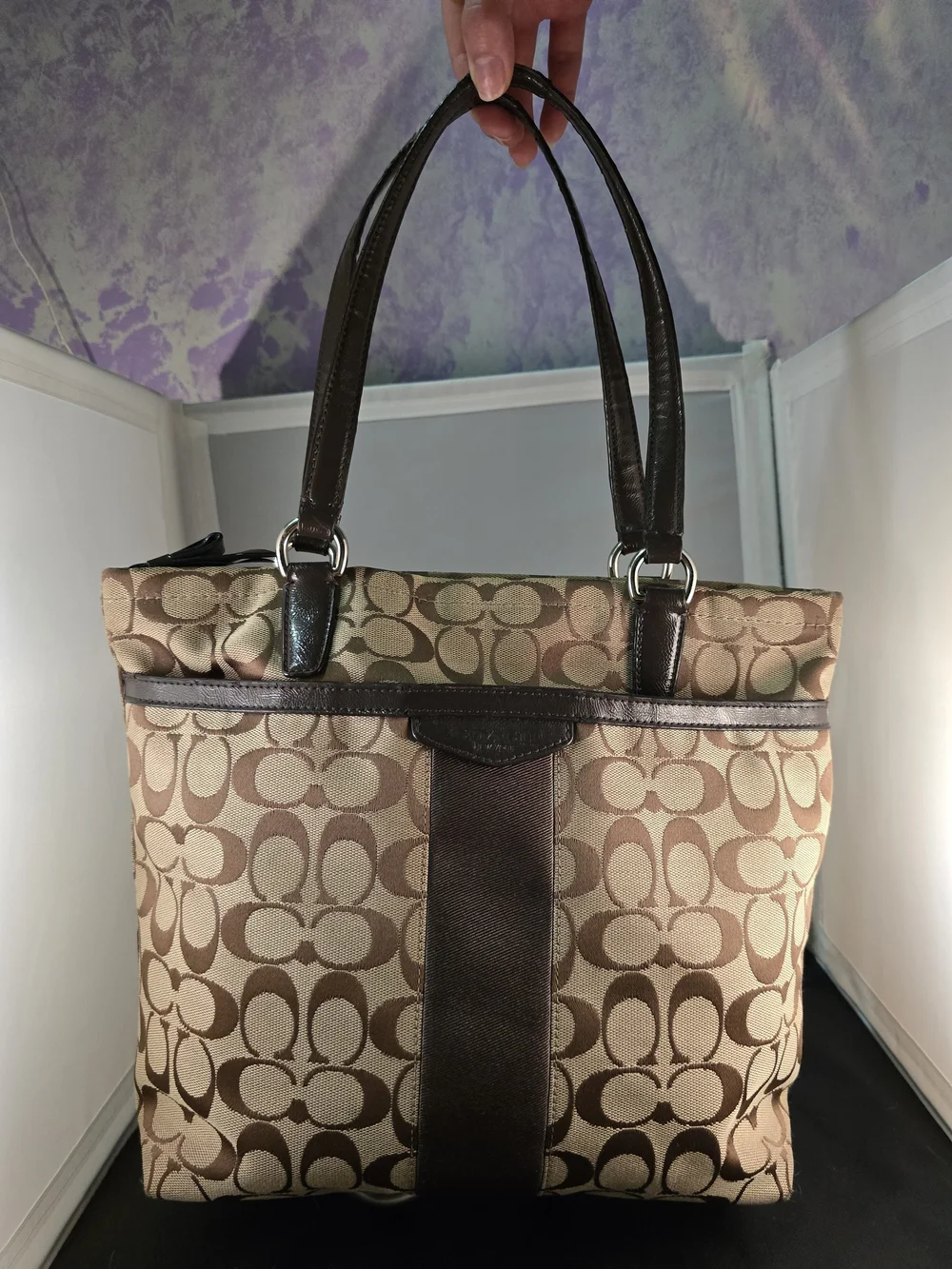 Coach Signature Canvas Tote Bag in Brown